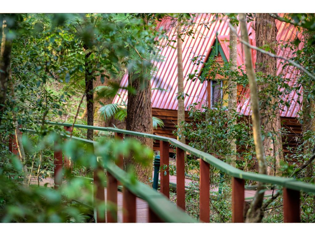 The Mouses House Rainforest Retreat Springbrook Exterior photo