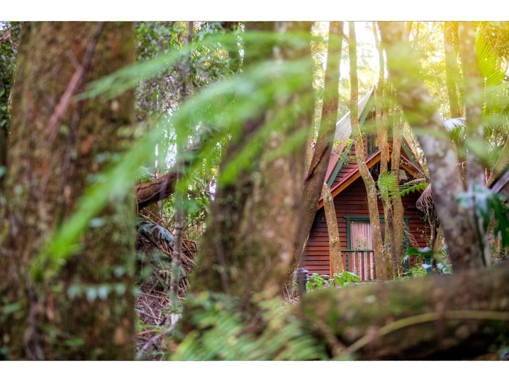 The Mouses House Rainforest Retreat Springbrook Exterior photo